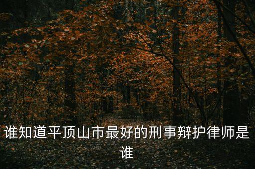 誰知道平頂山市最好的刑事辯護(hù)律師是誰