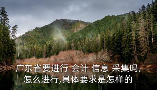 會(huì)計(jì)信息采集