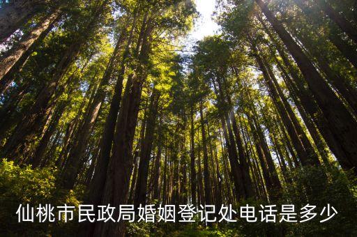 仙桃市民政局，仙桃新民政局在哪