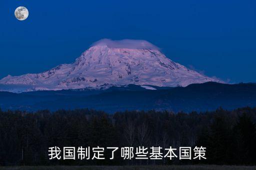 相關(guān)政策，我國(guó)制定了哪些基本國(guó)策