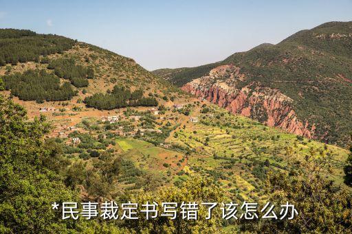 法律文書內容錯誤