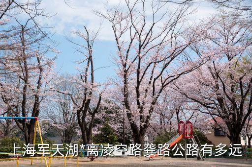 軍天湖*，軍天湖*去了就能見到犯人么