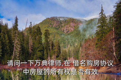 請(qǐng)問(wèn)一下萬(wàn)典律師,在 借名購(gòu)房協(xié)議中房屋的所有權(quán)是否有效