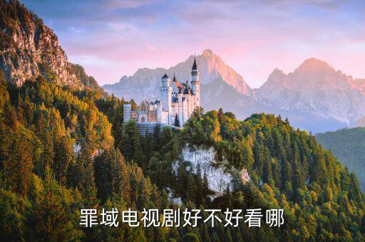 電視連續(xù)劇罪域，罪域一共多少集