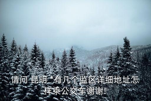請問 昆明 *有幾個監(jiān)區(qū)詳細(xì)地址怎樣乘公交車謝謝!
