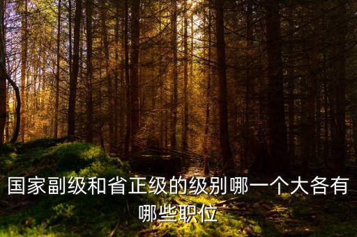 副國(guó)級(jí)干部有多少,正國(guó)級(jí)有多少人