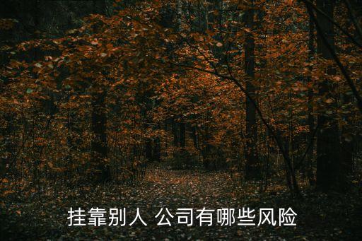  掛靠別人 公司有哪些風險
