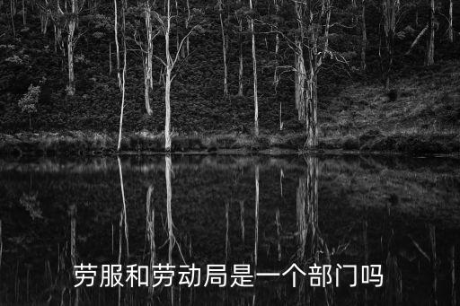 勞服和勞動(dòng)局是一個(gè)部門(mén)嗎