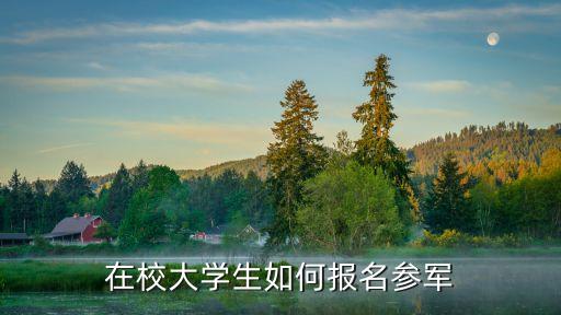 在校大學(xué)生如何報(bào)名參軍