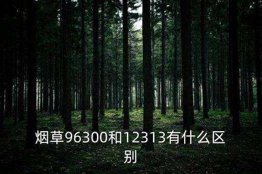 12313，12313是什么