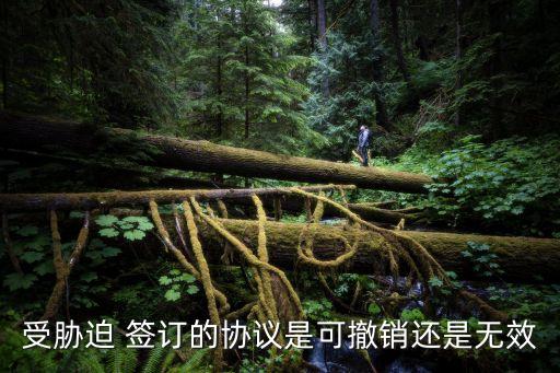 受脅迫 簽訂的協(xié)議是可撤銷(xiāo)還是無(wú)效