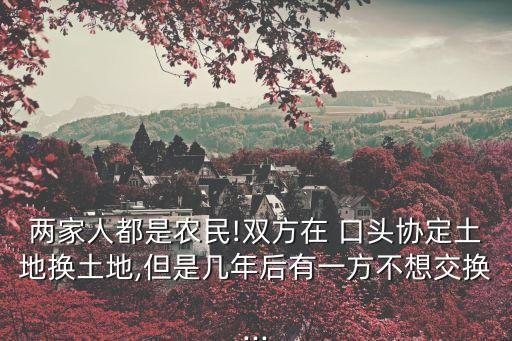 農(nóng)村口頭協(xié)議案例,社區(qū)人民調(diào)解口頭協(xié)議案例