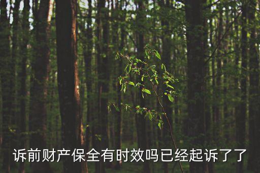 訴前財(cái)產(chǎn)保全有時(shí)效嗎已經(jīng)起訴了了