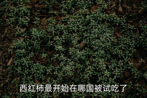 印度最高*，孟買的地理事物是