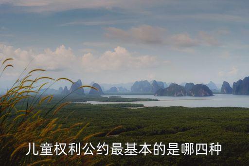 兒童權(quán)利公約最基本的是哪四種