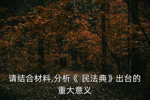 請結(jié)合材料,分析《 民法典》出臺的重大意義