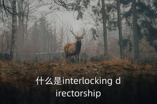 什么是interlocking directorship