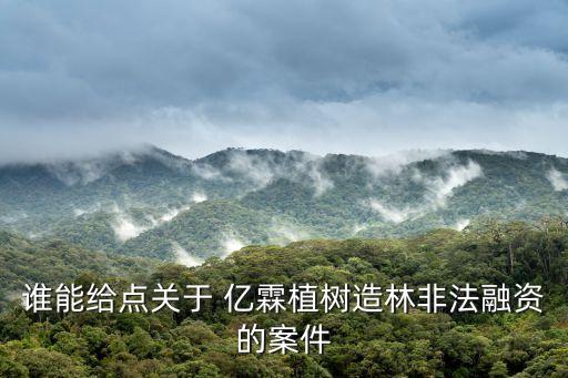 億霖木業(yè),防腐木批發(fā)市場在哪里