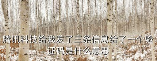 騰訊科技給我發(fā)了三條信息給了一個驗證碼是什么意思