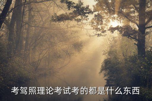 考駕照理論考試考的都是什么東西