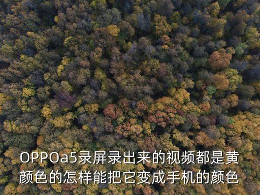 OPPOa5錄屏錄出來的視頻都是黃顏色的怎樣能把它變成手機的顏色