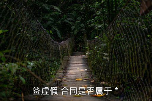 簽虛假 合同是否屬于 *