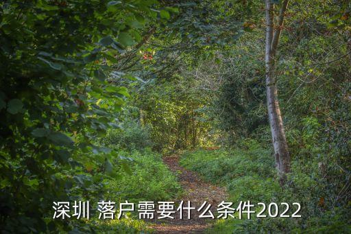  深圳 落戶需要什么條件2022