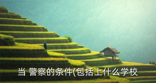 大專可以當(dāng)警察嗎,自考警察怎么報(bào)名