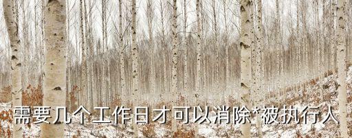 被執(zhí)行人，強制執(zhí)行被執(zhí)行人的那些財產(chǎn)能被執(zhí)行那些不能執(zhí)行如別人借與