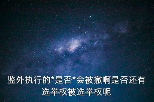 選舉權(quán)和被選舉權(quán)，所有正式*都有選舉權(quán)和被選舉權(quán)么