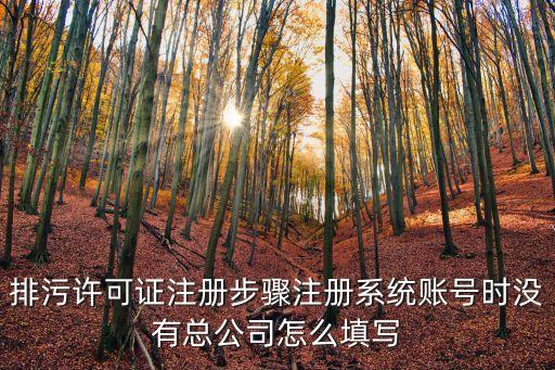 排污許可證注冊步驟注冊系統(tǒng)賬號時沒有總公司怎么填寫