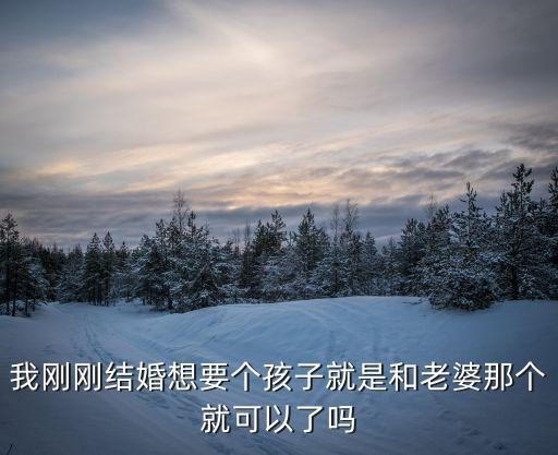 做到懷孕為止，我剛剛結婚想要個孩子就是和老婆那個就可以了嗎