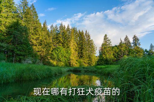 哪里打狂犬疫苗，打狂犬疫苗在哪里打