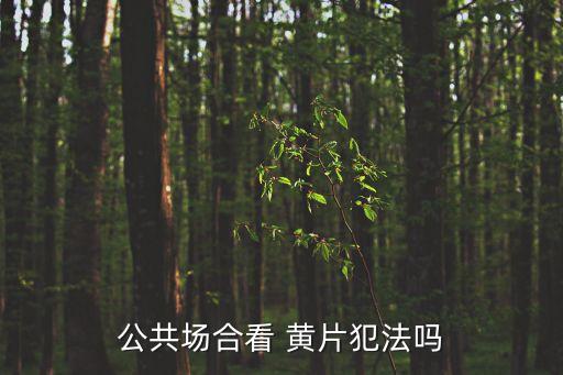 公共場合看 黃片犯法嗎