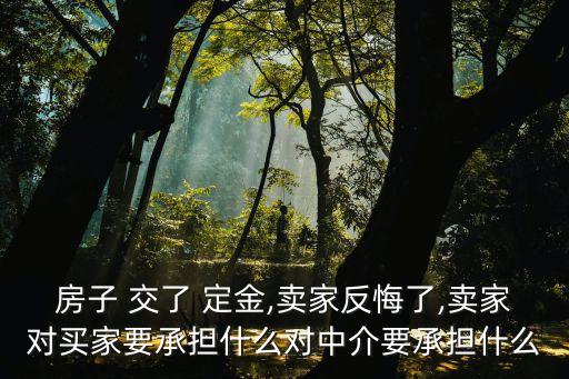 房子 交了 定金,賣家反悔了,賣家對(duì)買家要承擔(dān)什么對(duì)中介要承擔(dān)什么