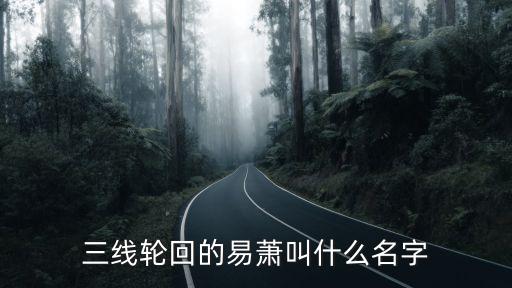 許濤