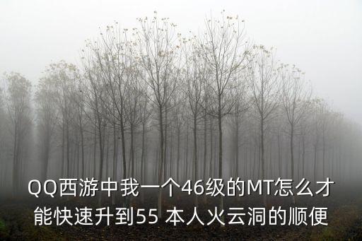 QQ西游中我一個(gè)46級(jí)的MT怎么才能快速升到55 本人火云洞的順便