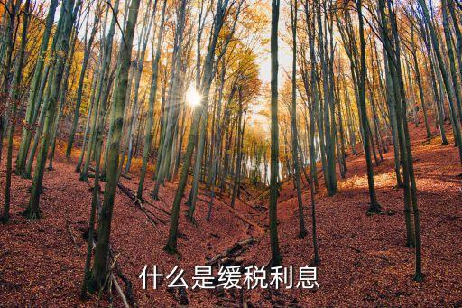 緩稅，增值稅是否可以緩交