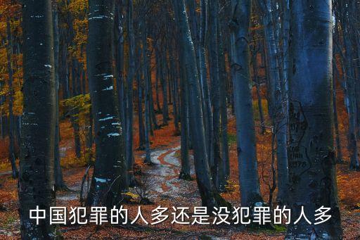 中國犯罪的人多還是沒犯罪的人多