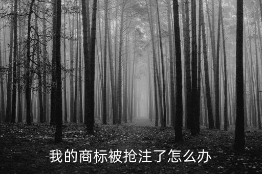 我的商標(biāo)被搶注了怎么辦