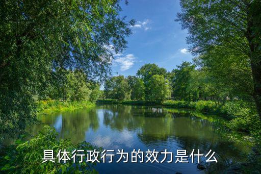 具體行政行為的效力是什么