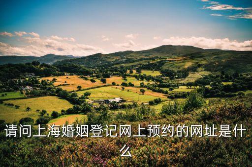 請(qǐng)問(wèn)上海婚姻登記網(wǎng)上預(yù)約的網(wǎng)址是什么
