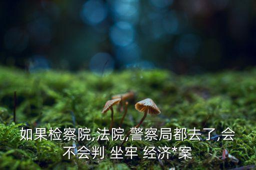 如果檢察院,法院,警察局都去了,會(huì)不會(huì)判 坐牢 經(jīng)濟(jì)*案