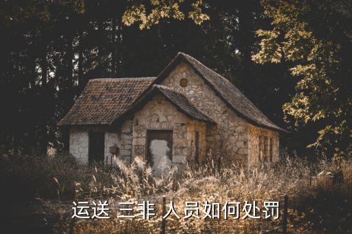 三非人員,中國(guó)清理三非人員