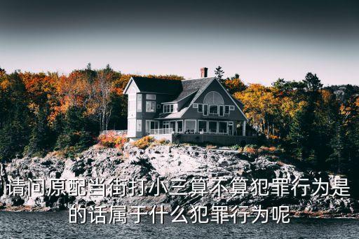 當(dāng)街打小三，在街頭暴打小三犯法嗎
