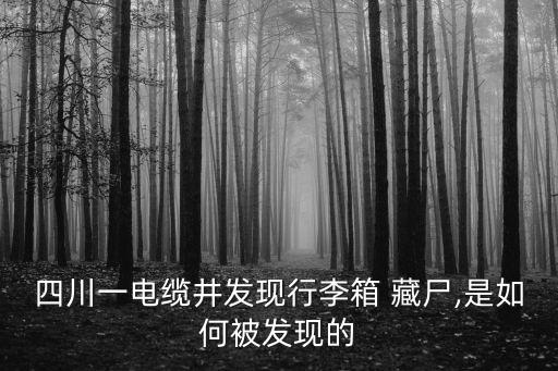 藏尸