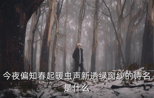 張維平，今夜偏知春起暖蟲聲新透綠窗紗的詩名是什么