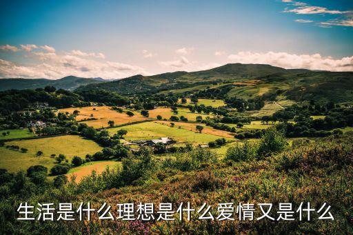 生活是什么理想是什么愛情又是什么
