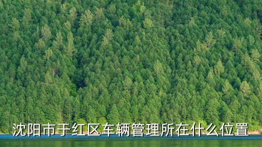 沈陽市于紅區(qū)車輛管理所在什么位置