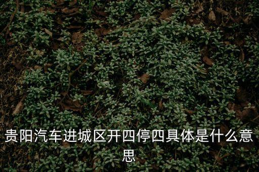 貴陽汽車進(jìn)城區(qū)開四停四具體是什么意思